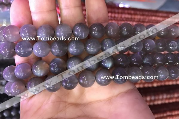 CMS1422 15.5 inches 8mm round black moonstone beads wholesale