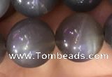 CMS1424 15.5 inches 12mm round black moonstone beads wholesale