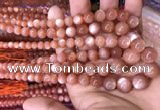 CMS1482 15.5 inches 4mm - 12mm round golden moonstone graduated beads