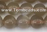 CMS1958 15.5 inches 7mm round natural moonstone gemstone beads