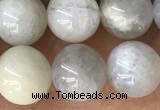 CMS2051 15.5 inches 8mm round moonstone gemstone beads
