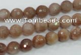 CMS59 15.5 inches 8mm faceted round moonstone gemstone beads