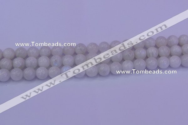CMS643 15.5 inches 10mm round white moonstone beads wholesale