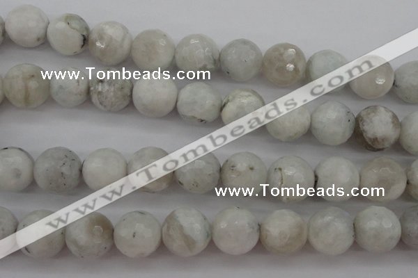 CMS805 15.5 inches 14mm faceted round white moonstone beads
