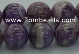 CNA1005 15.5 inches 14mm round dogtooth amethyst beads wholesale