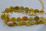 CNG2907 15.5 inches 12*16mm - 15*25mm freeform agate beads