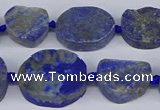 CNG5566 15.5 inches 12*16mm - 18*22mm freeform lapis lazuli beads