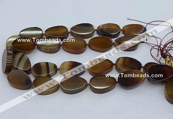 CNG5667 15.5 inches 22*30mm freeform agate gemstone beads