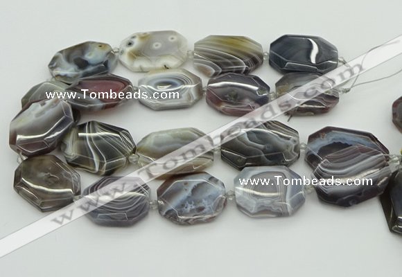 CNG5689 20*30mm - 35*45mm faceted freeform botswana agate beads