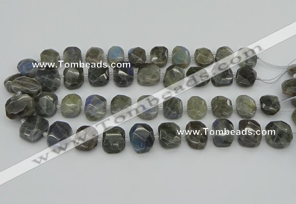 CNG5722 15.5 inches 12*16mm - 15*20mm faceted freeform labradorite beads