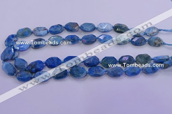 CNG5787 10*14mm - 12*16mm faceted freeform apatite beads