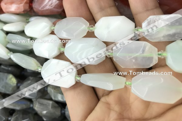CNG7812 13*18mm - 18*25mm faceted freeform light prehnite beads
