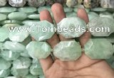 CNG7831 20*28mm - 25*35mm faceted freeform light prehnite beads