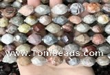 CNG8526 15.5 inches 10*14mm - 12*16mm faceted nuggets fossil coral beads
