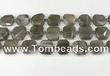 CNG8810 15.5 inches 16mm - 20mm faceted freeform moonstone beads