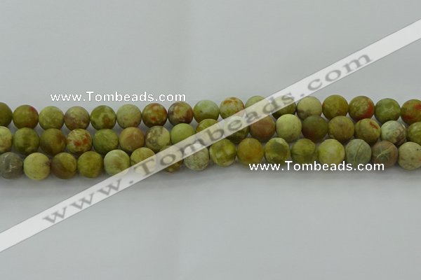 CNS652 15.5 inches 10mm round matte green dragon serpentine jasper beads