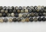 COP1603 15.5 inches 10mm round moss opal beads wholesale