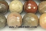CPJ697 15 inches 10mm faceted round American picture jasper beads