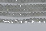 CRB1936 15.5 inches 2*3mm faceted rondelle labradorite beads