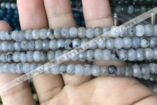 CRB5118 15.5 inches 4*6mm faceted rondelle labradorite beads
