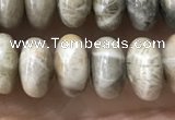 CRB5336 15.5 inches 5*8mm rondelle fossil coral beads wholesale