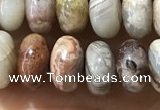 CRB5337 15.5 inches 5*8mm rondelle Mexican crazy lace agate beads