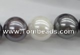 CSB1150 15.5 inches 16mm round mixed color shell pearl beads