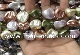 CSB2177 15.5 inches 16*16mm - 20*22mm baroque mixed shell pearl beads