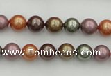 CSB312 15.5 inches 8mm round mixed color shell pearl beads