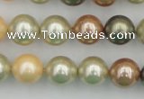 CSB359 15.5 inches 12mm round mixed color shell pearl beads