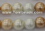 CSB624 15.5 inches 14mm whorl round mixed color shell pearl beads