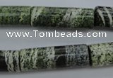 CSJ98 15.5 inches 10*30mm tube green silver line jasper beads
