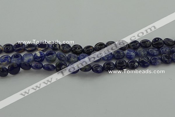 CSO670 15.5 inches 10mm flat round sodalite gemstone beads