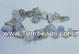 CTD1555 Top drilled 18*25mm - 30*45mm freeform blue lace agate slab beads