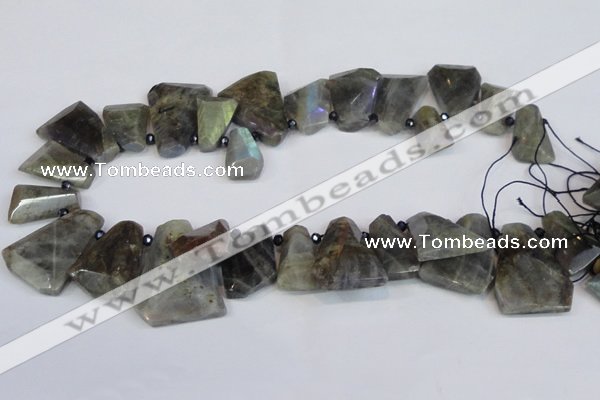 CTD2103 Top drilled 15*25mm - 25*30mm freeform labradorite beads