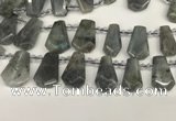 CTD2275 Top drilled 16*28mm - 20*30mm faceted freeform labradorite beads