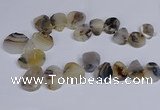 CTD2736 Top drilled 20*25mm - 35*45mm freeform Montana agate beads