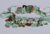 CTD2885 Top drilled 15*20mm - 25*45mm freeform australia chrysoprase beads