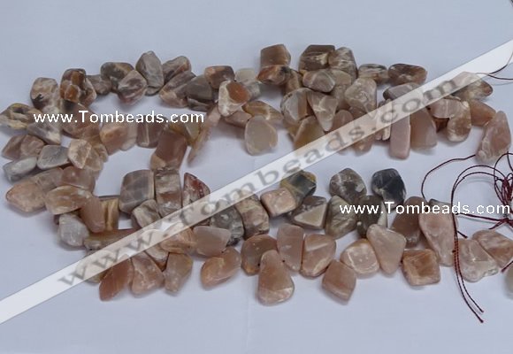 CTD3607 Top drilled 10*14mm - 13*18mm nuggets moonstone beads