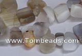CTD3609 Top drilled 10*14mm - 13*18mm nuggets botswana agate beads