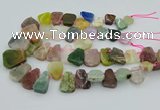 CTD3699 Top drilled 15*20mm - 25*30mm freeform mixed gemstone beads