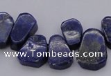 CTD377 Top drilled 10*14mm - 15*20mm freeform lapis lzuli beads