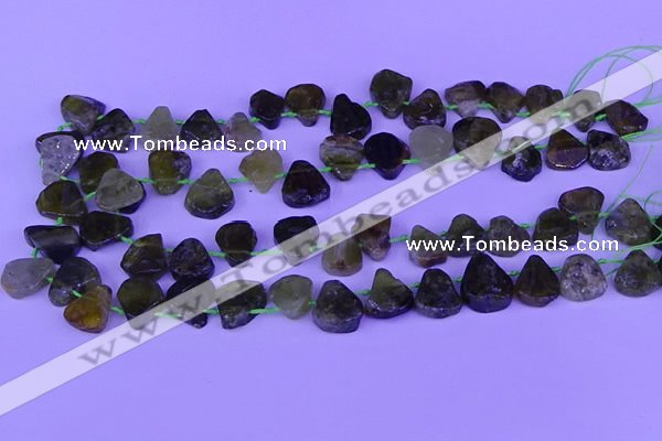 CTD3873 Top drilled 12*16mm - 15*20mm freeform green garnet beads