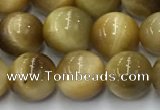 CTE2141 15.5 inches 8mm round golden tiger eye beads wholesale