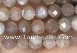 CTG1503 15.5 inches 3mm faceted round moonstone gemstone beads