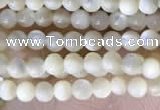 CTG2049 15 inches 2mm,3mm mother of pearl beads