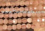 CTG2138 15 inches 2mm,3mm faceted round sunstone gemstone beads