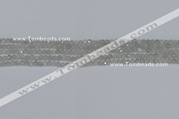 CTG613 15.5 inches 3mm faceted round labradorite beads