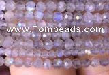 CTG700 15.5 inches 2mm faceted round tiny labradorite beads
