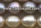 FWP194 15 inches 7mm - 8mm rice light purple freshwater pearl strands